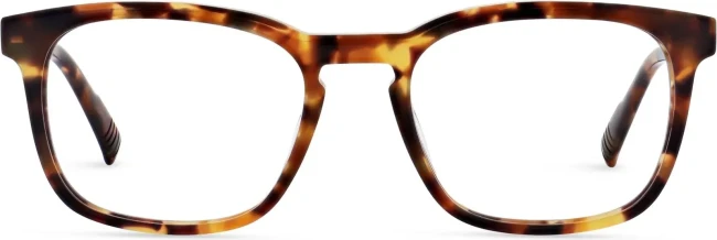 Оправа Marius Morel SEPIA 3 TV09 Оправа Marius Morel SEPIA 3 TV09