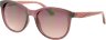 Dackor 343 Red