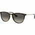 Солнцезащитные очки Ray-Ban RJ9060S 704911 50 Ray-Ban
