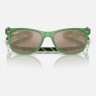 Солнцезащитные очки Ray-Ban RJ9052S 71465A 47 Ray-Ban Солнцезащитные очки Ray-Ban RJ9052S 71465A 47 Ray-Ban