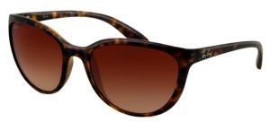 Ray-Ban RB4167 710/13 Ray-Ban RB4167 710/13