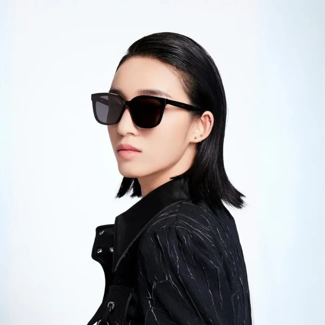 Сонцезахисні окуляри Molsion MS 3072 C10 Сонцезахисні окуляри Molsion MS 3072 C10