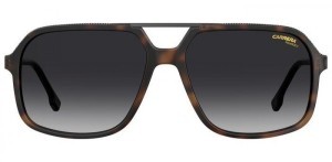 Carrera 229/S 05L59WJ