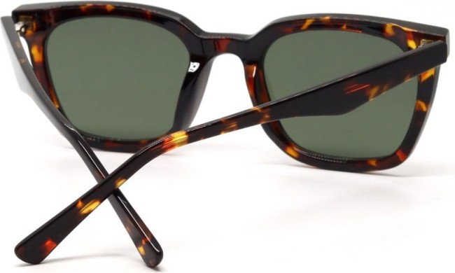 Сонцезахисні окуляри Casta CS 3025 DEMI Сонцезахисні окуляри Casta CS 3025 DEMI