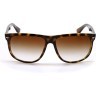Солнцезащитные очки Ray-Ban RB4147 710/51 60 Ray-Ban