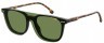 Carrera 2023T/CS WR74818