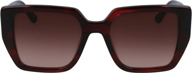 Сонцезахисні окуляри Karl Lagerfeld KL 6036S 049 Сонцезахисні окуляри Karl Lagerfeld KL 6036S 049