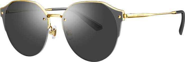 Сонцезахисні окуляри Bolon BL 7109 B60