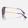Солнцезащитные очки Ray-Ban RJ9060S 713173 50 Ray-Ban Солнцезащитные очки Ray-Ban RJ9060S 713173 50 Ray-Ban