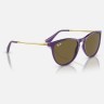 Солнцезащитные очки Ray-Ban RJ9060S 713173 50 Ray-Ban Солнцезащитные очки Ray-Ban RJ9060S 713173 50 Ray-Ban