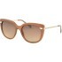 Сонцезахисні окуляри Dackor 087 Brown