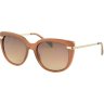 Сонцезахисні окуляри Dackor 087 Brown