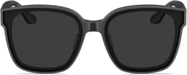 Сонцезахисні окуляри Molsion MS 3088 C11