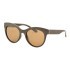 Сонцезахисні окуляри Dackor 375 Brown Сонцезахисні окуляри Dackor 375 Brown