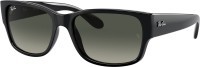 Ray-Ban RB4388 601/71 58