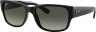 Ray-Ban RB4388 601/71 58