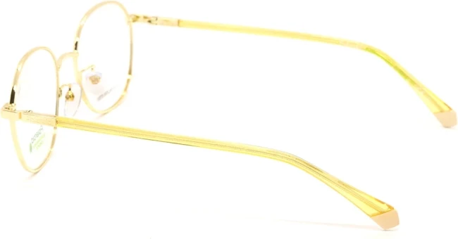 Оправа Polaroid PLD D456/G J5G5119 Оправа Polaroid PLD D456/G J5G5119