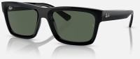 Ray-Ban RB4396 667771 54