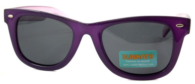 Polaroid Sunmate M8205D-1.jpg