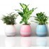 Портативная колонка Bluetooth FLOWERPOT Портативная колонка Bluetooth FLOWERPOT