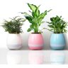 Портативная колонка Bluetooth FLOWERPOT Портативная колонка Bluetooth FLOWERPOT