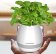 Портативная колонка Bluetooth FLOWERPOT