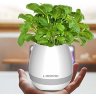 Портативная колонка Bluetooth FLOWERPOT Портативная колонка Bluetooth FLOWERPOT