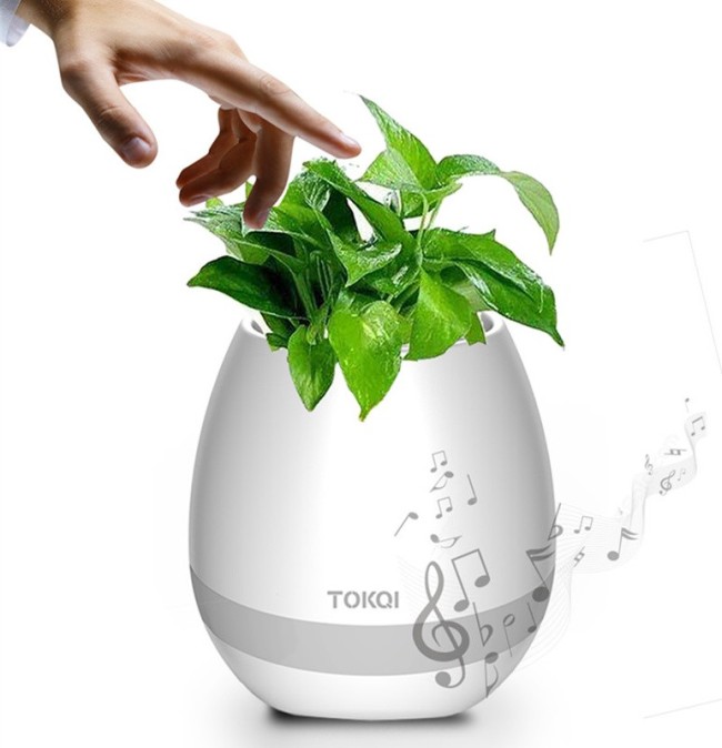 Портативная колонка Bluetooth FLOWERPOT Портативная колонка Bluetooth FLOWERPOT