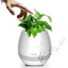 Портативная колонка Bluetooth FLOWERPOT Портативная колонка Bluetooth FLOWERPOT