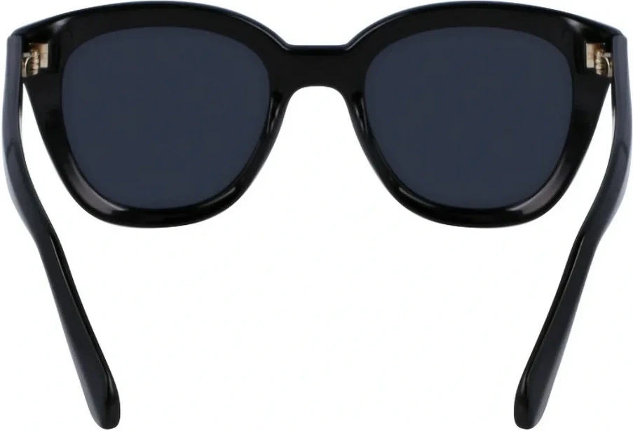 Сонцезахисні окуляри Salvatore Ferragamo SF 2000S 001