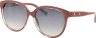 Dackor 122 Bordo