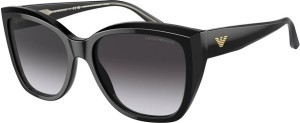 Emporio Armani EA 4198 50178G 55