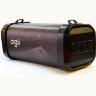 Портативная колонка Bluetooth Cigii F41
