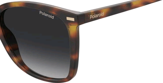 Сонцезахисні окуляри Polaroid PLD 4108/S 08655LA