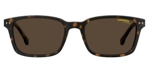 Carrera 2021T/S 0865070