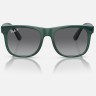 Солнцезащитные очки Ray-Ban RJ9069S 7130T3 48 Ray-Ban Солнцезащитные очки Ray-Ban RJ9069S 7130T3 48 Ray-Ban