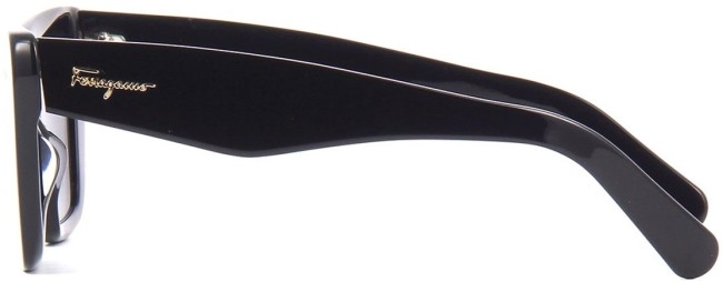 Сонцезахисні окуляри Ferragamo SF 929S 001