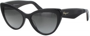 Ferragamo SF 930S 001