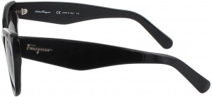 Ferragamo SF 930S 001
