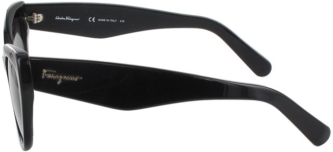 Сонцезахисні окуляри Ferragamo SF 930S 001