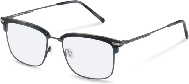 Rodenstock R7108 D 55