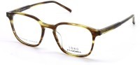 Marius Morel 60094M TD11