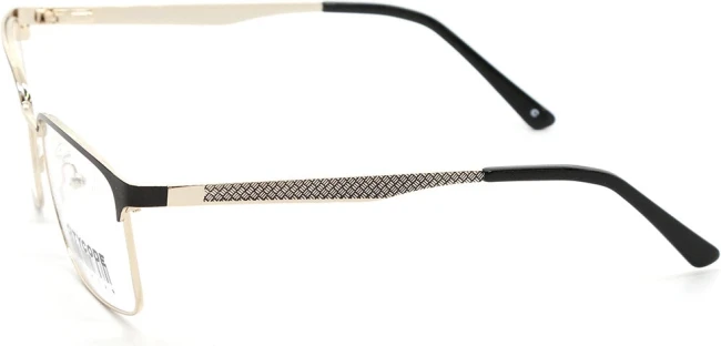 Оправа Citycode CCO 2554 GLDMBK