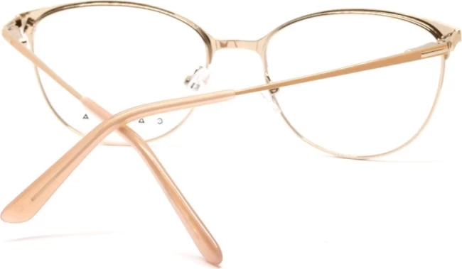 Оправа Casta CST 1190 BRNGLD Оправа Casta CST 1190 BRNGLD