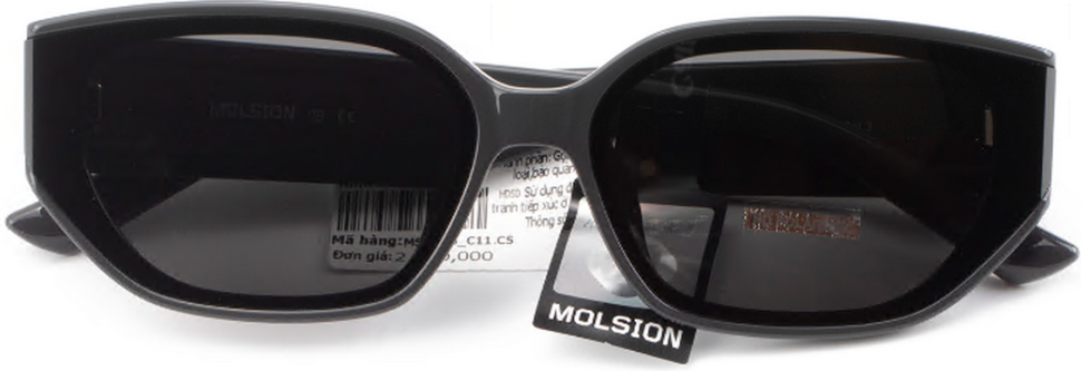 Сонцезахисні окуляри Molsion MS 5066 C11