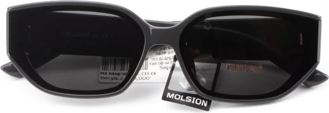 Сонцезахисні окуляри Molsion MS 5066 C11