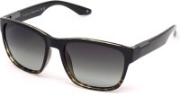 Casta CS 2031 DEMI