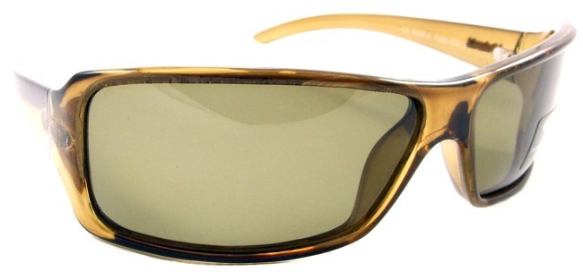 8508A Polaroid-2_enlin.jpg