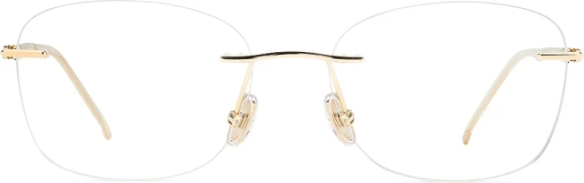 Оправа Jimmy Choo JC365 83I5318