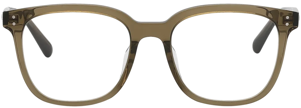 Оправа Molsion MJ 3085 B80